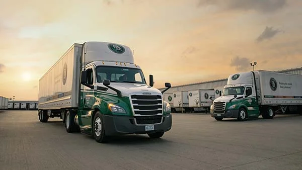 Old Dominion Freight Line trucks parked at a terminal during sunset.
